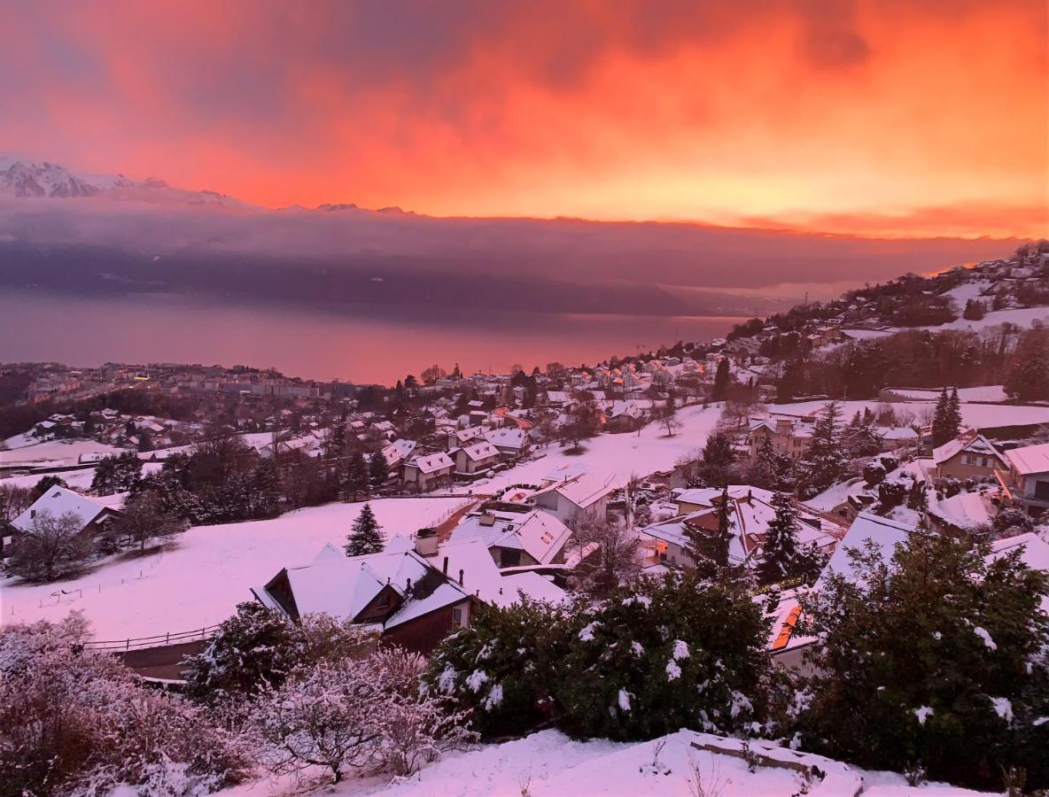 Appartement Moderne Avec Vue Panoramique A Jongny Proche De Montreux Ngoại thất bức ảnh